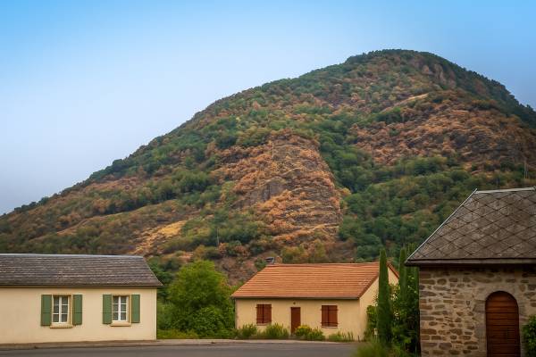 The forests are suffering from the heat.