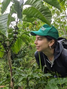 Soutenir l'agroforesterie par Ecosia