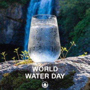 Journée mondiale de l'eau