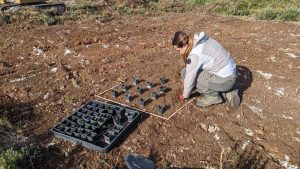 PRélèvement d'un espèce protégée pour translocation