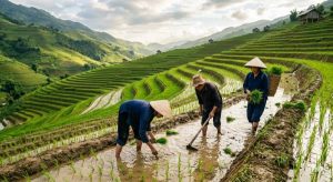 L'agriculture intensive peut-elle nourrir 10 milliards d'humains