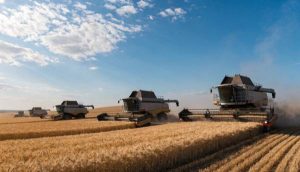 Agriculture productiviste mais gains réduits