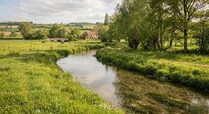 Cours d'eau période d'étiage