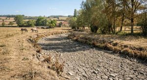 Cours d'eau sécheresse