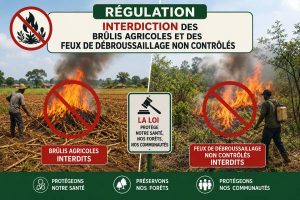 Brulis agricoles